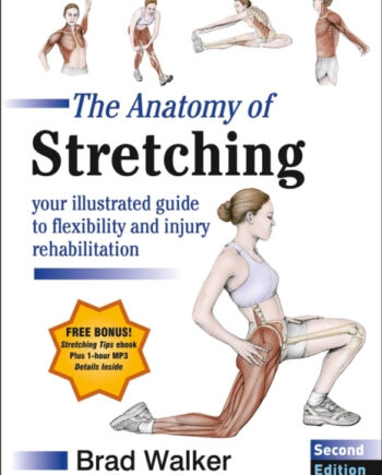 The Anatomy Stretching