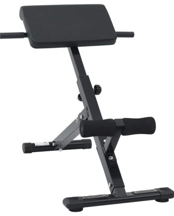 Hyperextension Bænk Sort 100 Pulverlakeret Stål