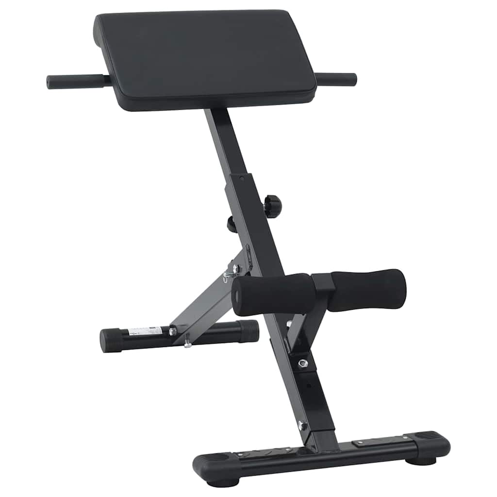 Hyperextension Bænk Sort 100 Pulverlakeret Stål